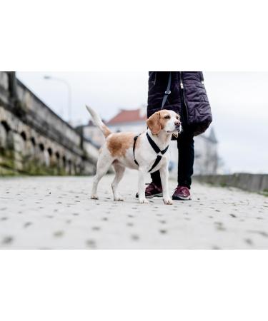 Chaba Guard Dog Harness for Small Dogs - Anti-Pull Adjustable Control Harness - Lightweight Step-In Design for Running - Black - Buy Online on GoSupps.com
