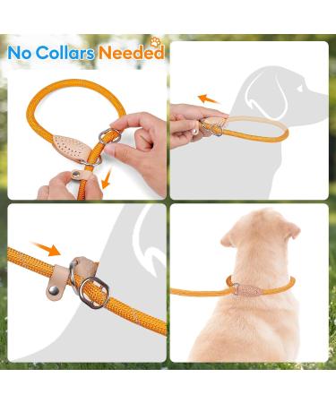 Durable 1.4cm x 150cm Pink Reflective Slip Lead Dog Leash | Adjustable Anti-Choking Training Rope for Small Medium Large Dogs and Cats | Grand Line Slip Lead - Buy Online on GoSupps.com