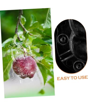 Kisangel 2pcs Shaped Fruit Novel Shaping Adorable Forming Shaper Accessories Watermelon - Buy Online on GoSupps.com