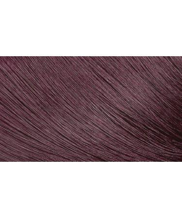 Bigen Speedy Conditioning Color Refill 4B Burgundy Brown - 3 Pack - Buy Online on GoSupps.com