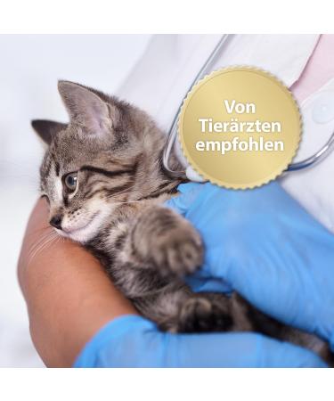Felisept Home Comfort Elbe - Natural Cat Sedative with Catnip for Stress Relief | Safe Non-Pheromone Solution for Cats - Buy Online on GoSupps.com