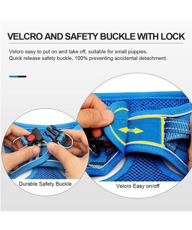 Buy Suredoo Dog Harness for Small Dogs with Leash - Reflective Breathable & Anti-Train Design | XXS Blue Checked - Buy Online on GoSupps.com
