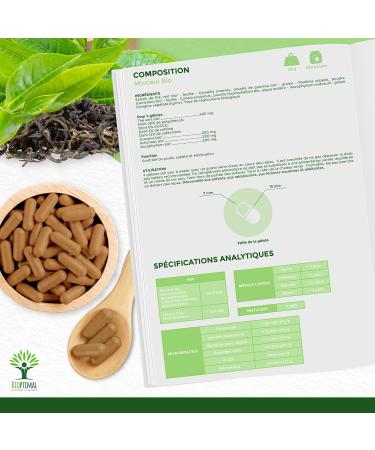 Organic Slimming Bioptimal - Food Supplement - Guarana Green Tea + Plants for Weight Loss - 4 Actions - Fat Burning Weight Loss - Digestion - Made in France - Ecocert Certified - 200 Capsules - Buy Online on GoSupps.com