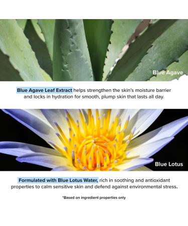 LOPOE Better Balance Ampoule - Facial Serum for Glass Skin Blue Agave Including panthenol. Skin Relief with Hyaluronic Acid Soothing and hydrating Vegan Korean Skincare (1.69 Fl. Oz 50ml) - Buy Online on GoSupps.com