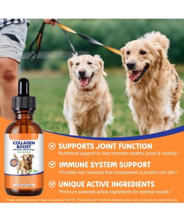 Premium Grass-Fed Liquid Collagen for Dogs - Skin and Coat Support Supplement with Biotin Vitamin C and Hyaluronic Acid - Buy Online on GoSupps.com