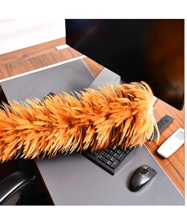 FCSHFC Natural Feather Duster Reusable Dusters for Cleaning with Wooden Handle for Cleaning Ceiling Fans Window Blinds Computer Screens Bookshelves Etc - Buy Online on GoSupps.com