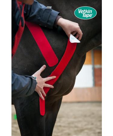 Vetkin Vetkintape Kinesiology Tape for Animals - 6cm x 5m | Strong Latex-Free Kinesiotape for Horses & Dogs | T V-Certified | 25% Stronger Adhesive - Buy Now! - Buy Online on GoSupps.com