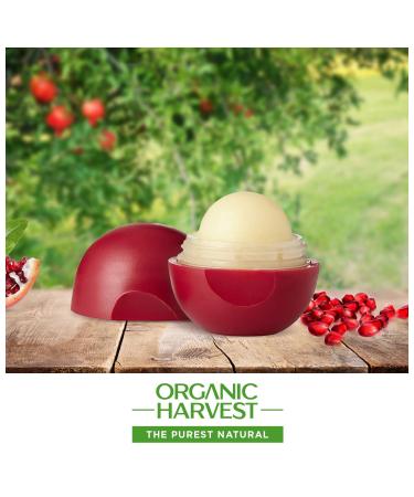  Moisturizing Pomegranate Lip Balm | Organic Lip Care for Dry & Chapped Lips | Paraben & Sulphate Free - 8 gm  - Buy Online on GoSupps.com