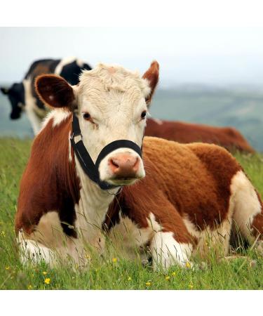 Nylon Livestock Cattle Keepers - Adjustable Chin & Throat Snap Holder for Horses Cows & Calves | Heiber Outdoors Training Accessories - Black - Buy Online on GoSupps.com