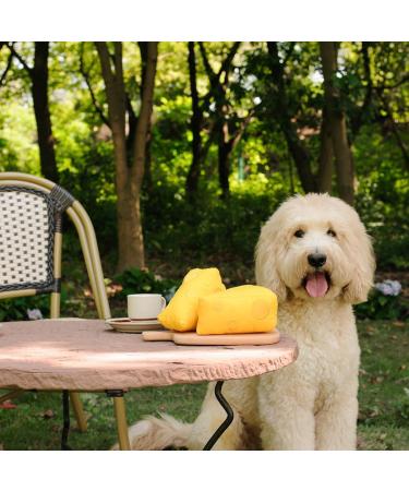 ChewFon Dog Toys - Plush Squeaky Birthday Gifts for All Dog Sizes | Fun & Cute Chew Toys - Buy Online on GoSupps.com