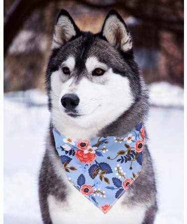 Aring Pet Dog Bandana | Cotton Flower Neckerchief for Small & Large Dogs & Cats - Blue Flower Design - Buy Online on GoSupps.com
