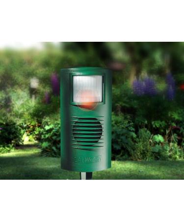 Cat watch Ultrasonic Deterrent