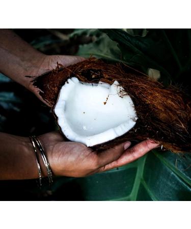 Buy 6 x Organic Coconut Milk 270 ml | Fairtrade Original | Sri Lanka | Ideal for Asian Dishes | 100% Organic & Natural - Buy Online on GoSupps.com