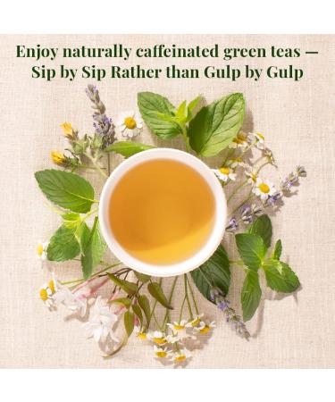 Organic Jasmine Green Tea - 50 Tea Bags | The Republic of Tea - Buy Online on GoSupps.com