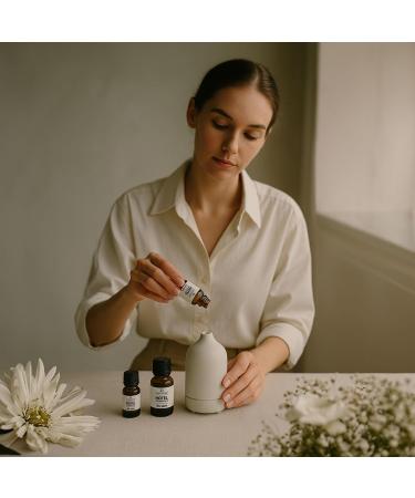 Hotel Series Premium Diffuser Oil VV Hotel Scent Luxury Inspired - for Ultrasonic and Waterless Diffusers Humidifiers Vaporizers - 0.34 fl oz VV Hotel 0.34 Fl Oz (Pack of 1) - Buy Online on GoSupps.com