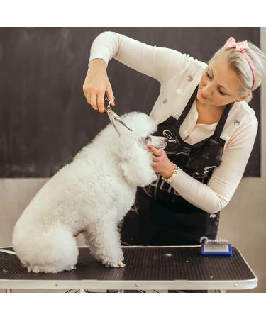 Pogeair 6-in-1 Safety Round Head Stainless Steel Dog Grooming Scissors Kit - Heavy Duty Titanium Coated Pet Grooming Scissors for Dogs, Cats & Other Pets - Buy Online on GoSupps.com