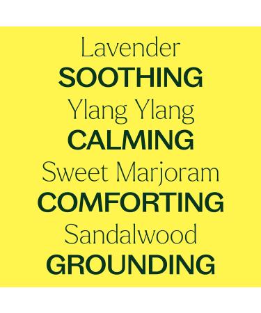 Plant Therapy Worry Free Essential Oil Blend 10 mL (1/3 oz) Calming Relief Blend 100% Pure Undiluted Natural Aromatherapy Therapeutic Grade Worry Free 0.33 Fl Oz (Pack of 1) - Buy Online on GoSupps.com