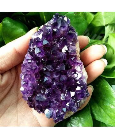 Amethyst Natural Rock Quartz Amethyst Cluster Druzy Geode Specimen(Quantity Choice : 5Pcs Size Choice : 30-40g) ningxiao (Color : 10-20g Size : 10Pcs) 10Pcs 10-20g - Buy Online on GoSupps.com
