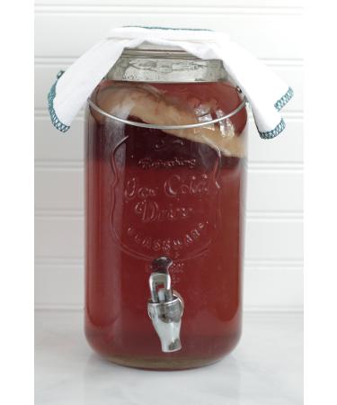 Kombuchaorganic Certified Organic Large (5 Litre) and Mature Beautiful Kombucha Scoby Starter Tea FREE Postal Service - Buy Online on GoSupps.com