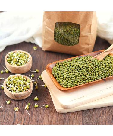 Buy Organic Sprouted Mung Beans | 1kg Raw Food | Plastic-Free & Eco-Friendly Packaging | s ssundclever.de - Buy Online on GoSupps.com
