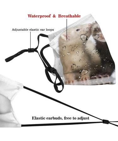 PPFINE Ferrets Fashion Animal Breathable Face Cover Adjustable Reusable Washable For Teenagers Men Women Balaclava Ferrets Fashion Animal 1 count (Pack of 1) - Buy Online on GoSupps.com