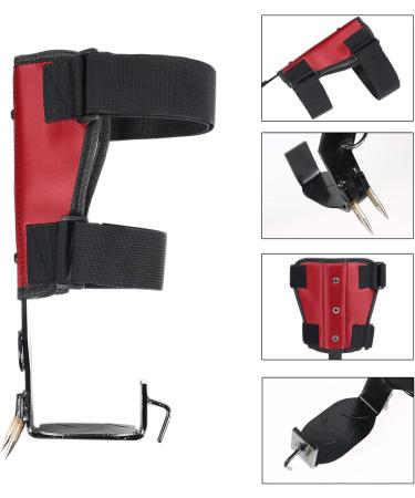 Tree Climbing Equipment - Safety Belts Stainless Steel Spikes & Tools for Camping & Harvesting - Buy Online on GoSupps.com