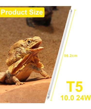 DERNORD T5 UVB Fluorescent Tube - 10.0 24W UV Tube Light Bulb 24 Inch Reptile Heat Lamp Tube Light for Tortoise Bearded Dragons Vivarium Lighting 24W 10.0 - Buy Online on GoSupps.com