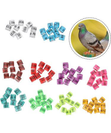 Balacoo 300 Pcs Homing Pigeon Identification Ring Tools Private Pigeons Marker Bird Distinguish Tool Birds 1.1x0.8cm x3pcs Colorfulx3pcs - Buy Online on GoSupps.com