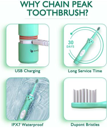 Kids Sonic Electric Toothbrush - Rechargeable Cute Bear Design for Boys and Girls (Ages 3-12) | 30s Reminder, 2 Min Timer, 5 Modes | 6 Brush Heads & Wall-Mounted Holder Included - Green - Buy Online on GoSupps.com