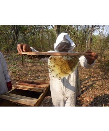Mama Buci Top Bar Hive Zambian Pure Honey Ethically Produced Winter Harvest 340 g Dark - Buy Online on GoSupps.com