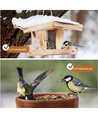 Premium Wild Bird Feed 5kg - Amsel Futter with Berries & Sunflower Seeds for Year-Round Feeding - Buy Online on GoSupps.com