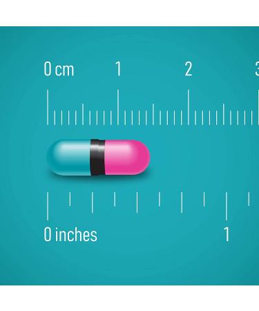 Prevacid 24HR Lansoprazole 15mg Capsules - 42 Count, Acid Reducer for Heartburn Relief - Buy Online on GoSupps.com