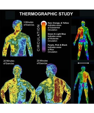 2-Pack Abdominal Cream Men Abdominal Muscle Cream Anti Cellulite Slimming Eight-Pack abs Fat Burning Cream abs Muscle Stimulator Cream Remove Fat Cells Firm and Tone Abdominal Muscles - Buy Online on GoSupps.com