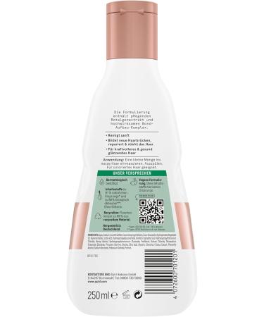 Guhl Bond+ Repairing Shampoo Content: 250 ml Repairs severely damaged hair Structures the hair fibre deep inside the hair Silicone-free Particularly - Buy Online on GoSupps.com