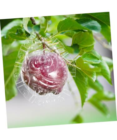 SUPVOX Vegetable Growing Shaped Growth Fruit Transparent Melon Growth Clear Shaping Shaper Maitreya Vegetable - Buy Online on GoSupps.com