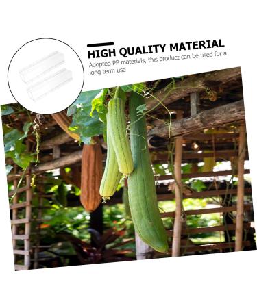 Kisangel 2pcs Square Cucumber Vegetables Vegetable Grow Forming Mould Tool Fruit Container - Buy Online on GoSupps.com