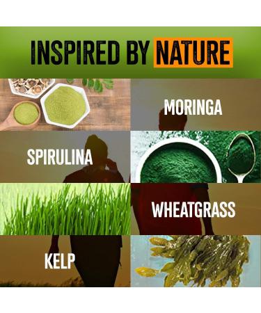 NutreeVit 100% Organic Powerful Superfood Formula - Immune System Booster Energy Pills with Moringa Spirulina Wheatgrass and Kelp - 200 Count Bottle 200 Count (Pack of 1) - Buy Online on GoSupps.com