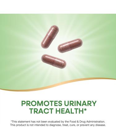 Nature's Way Urinary with Cranberry Premium Blend Promotes Urinary Tract Health* with Cranberry Dandelion Vegan Non-GMO Project Verified 100 Capsules (Packaging May Vary) 100 Count (Pack of 1) - Buy Online on GoSupps.com