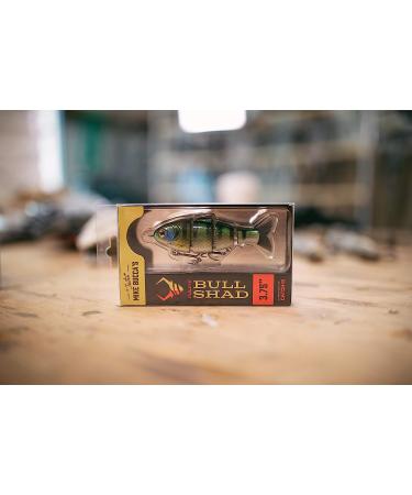 Mike Bucca Baby Bull Shad Swimbait 3.75 - 1/2 oz Golden Shiner | Catch Co Swimbait - Buy Online on GoSupps.com