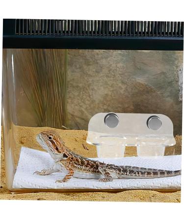 TOGEVAL 1 Set Magnetic Water Feeder Gecko Feeding Cups Reptile Feeding Cups Leaopard Tortoise Worm Acrylic - Buy Online on GoSupps.com