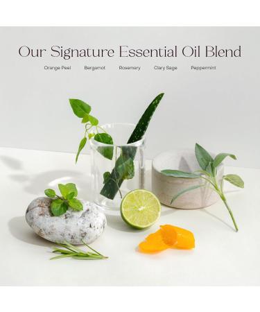 Hydrating Body Wash Concentrate - Plant-Based Vegan Aloe Vera 50+ Washes | Soothing Skincare - 3.4 fl oz - Buy Online on GoSupps.com