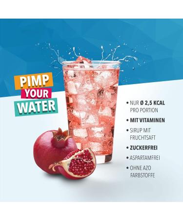 Best Body Nutrition Vital Drink Zerop - Sugar-Free Pomegranate Cranberry Syrup Concentrate (1000ml) - 80 Liters of Refreshing Beverage - Buy Online on GoSupps.com