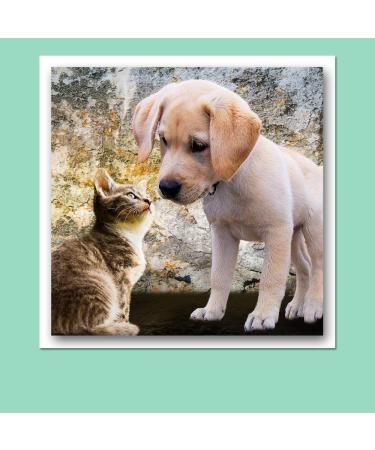 Hamilco White Cardstock Scrapbook Paper 12x12 65lb - 25 Pack 65 lb Cover - Buy Online on GoSupps.com