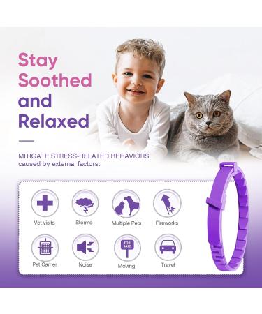 4 Pcs Pheromone Cat Calming Collars - Stress Relief & Comfort Starter Kit for Cats | Adjustable Anti-Stress Solutions - Buy Online on GoSupps.com