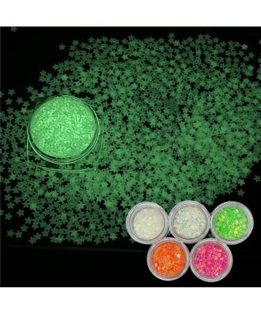 5 Boxes Set Luminous Nail Art Glitter Glow in the Dark Shape Glitter Stickers for Resin DIY Making Art Craft Nail Decoration Accessories Nightclub Party YG-S1 (S1)