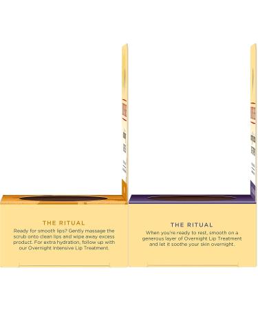 Burt's Bees Lip Balm & Lip Treatment Set - Overnight Intensive Care & Conditioning Scrub - 0.50 oz (Pack of 1) - Buy Online on GoSupps.com