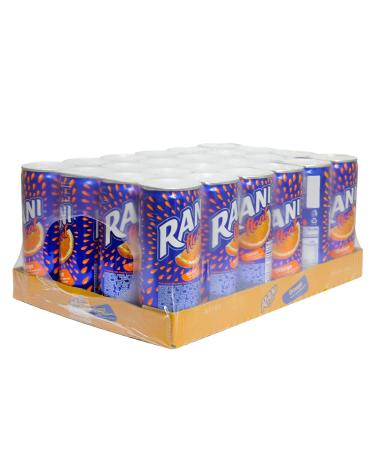 Rani Float Orange Juice 8 oz Pack of 24 - Imported from Dubai | Made with Real Fruit Pieces | Low Sugar - Buy Online on GoSupps.com