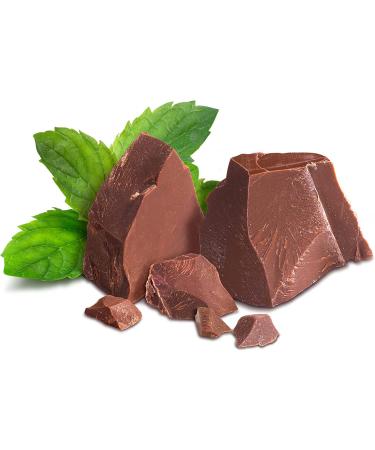 Buy BAR PROTEIN 20G MINT CHOC Delicious High-Protein Snack for Fitness Enthusiasts | International Shipping Available - Buy Online on GoSupps.com