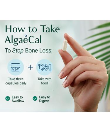 ALGAECAL - Plant Based Calcium Supplement with 13 organic minerals for osteoporosis support + Vitamin D3 (1000 IU). The only calcium that s clinically supported to stop bone loss 3 Month Supply 90 count (Pack of 3) - Buy Online on GoSupps.com