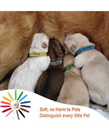 30-Pack Adjustable Puppy ID Collars | Soft Double-Sided Pet Bracelets for Newborn Dogs & Cats | 15 Colors Available - Buy Online on GoSupps.com
